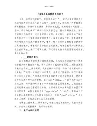 2024年返岗实践总结范文