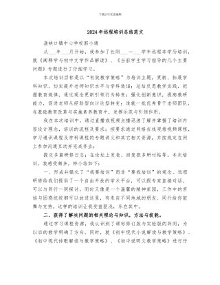 2024年远程培训总结范文