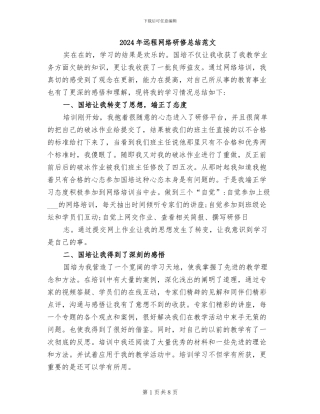 2024年远程网络研修总结范文