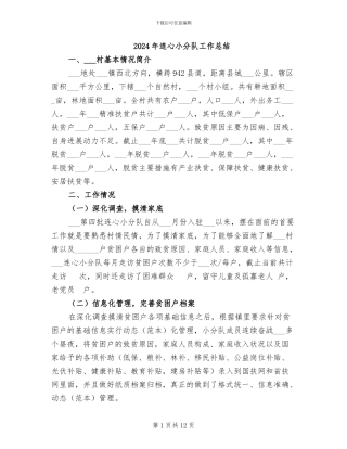 2024年连心小分队工作总结