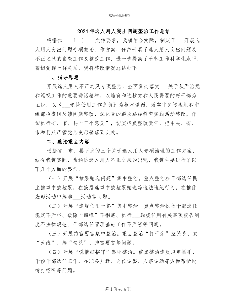 2024年选人用人突出问题整治工作总结_第1页