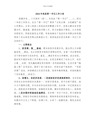 2024年选派第一书记工作小结