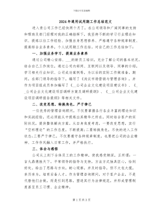 2024年通用试用期工作总结范文