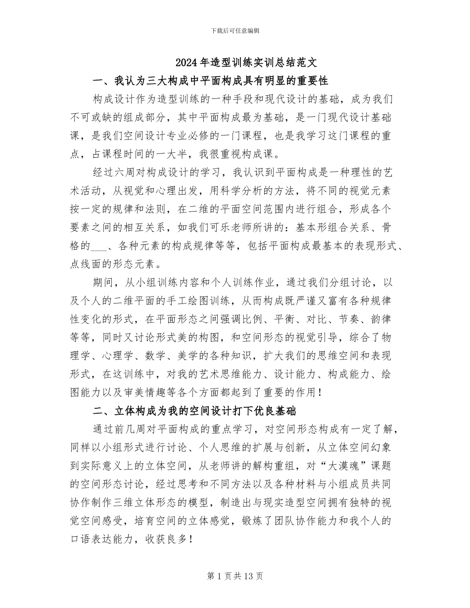 2024年造型训练实训总结范文_第1页