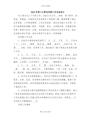2024年部门主管试用期工作总结范文
