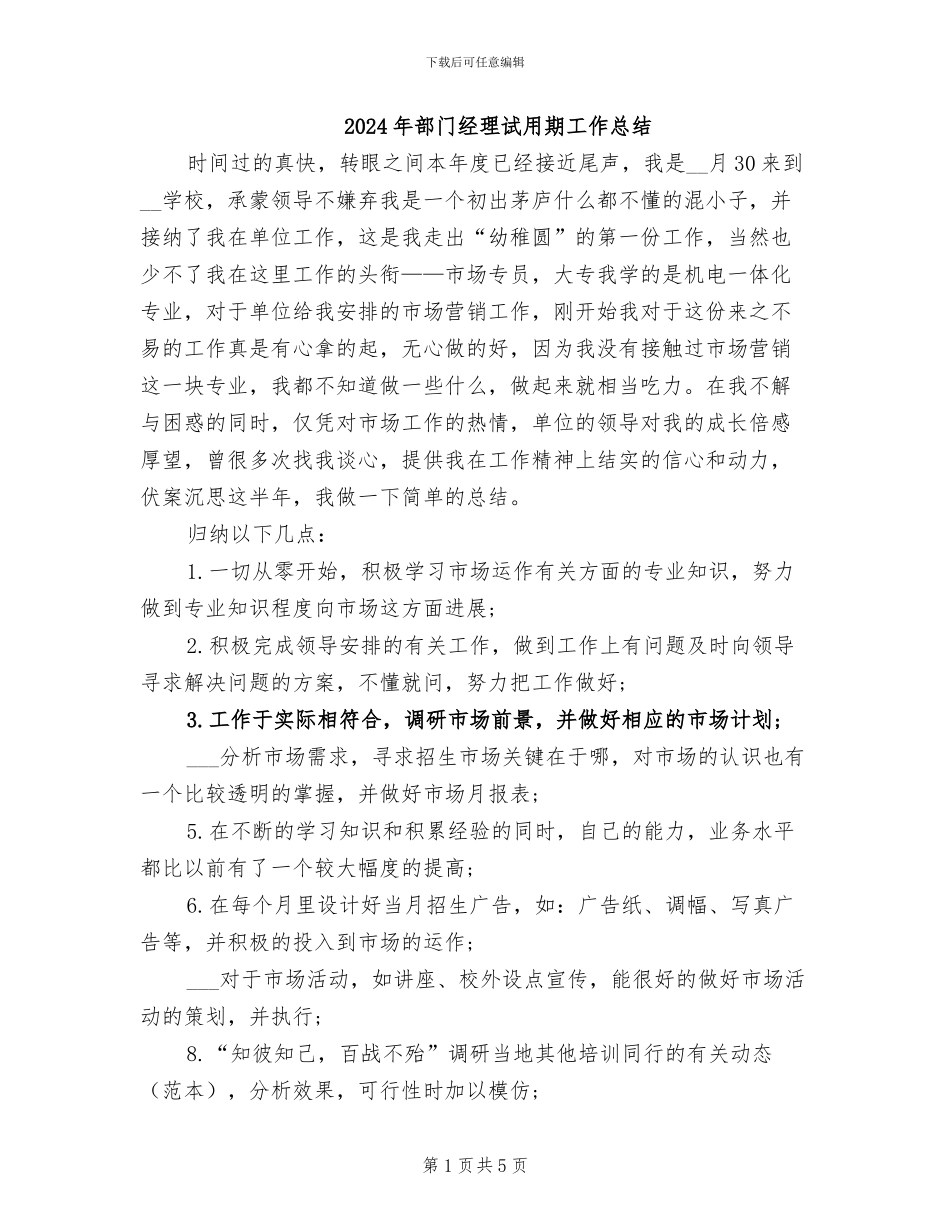 2024年部门经理试用期工作总结_第1页