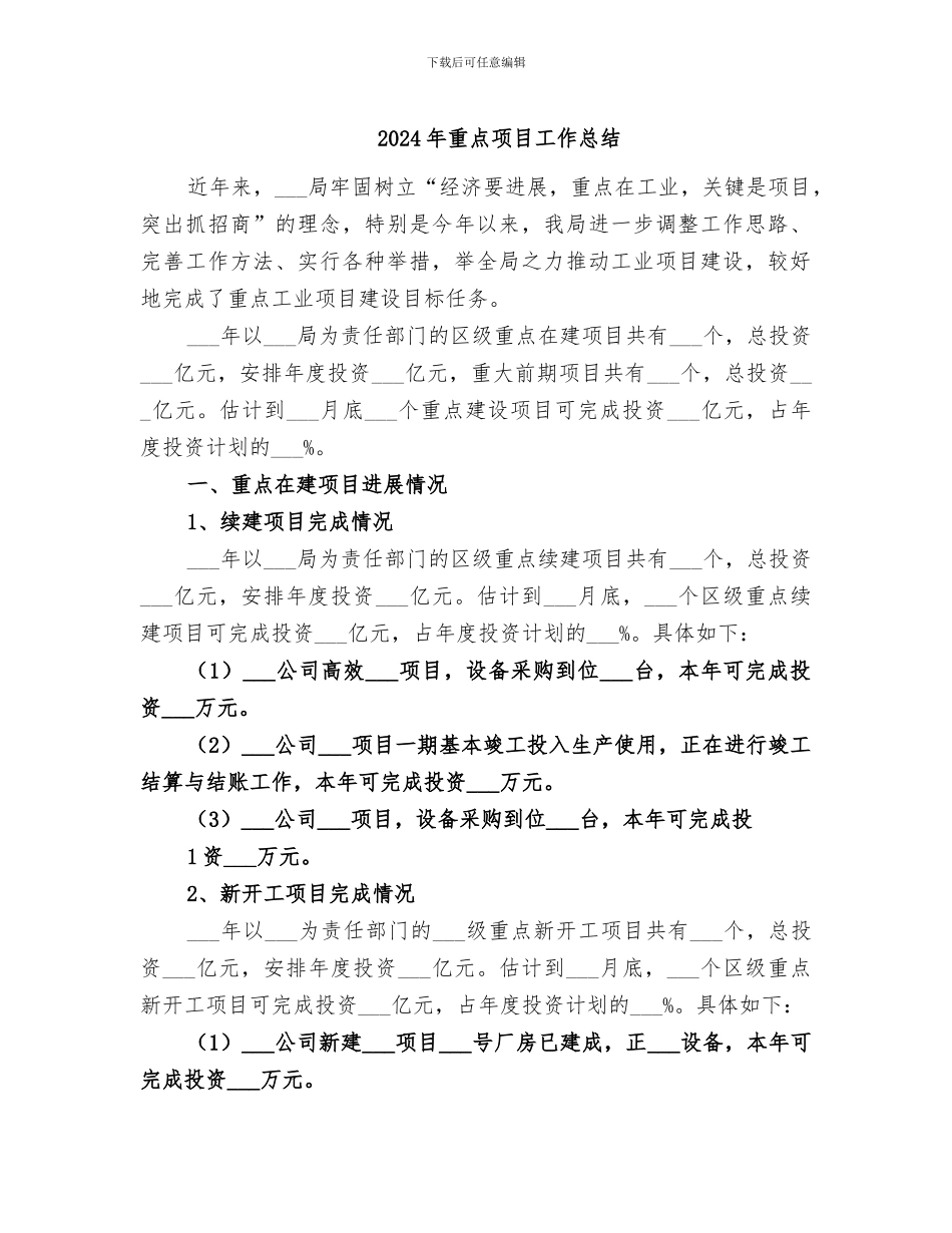 2024年重点项目工作总结_第1页