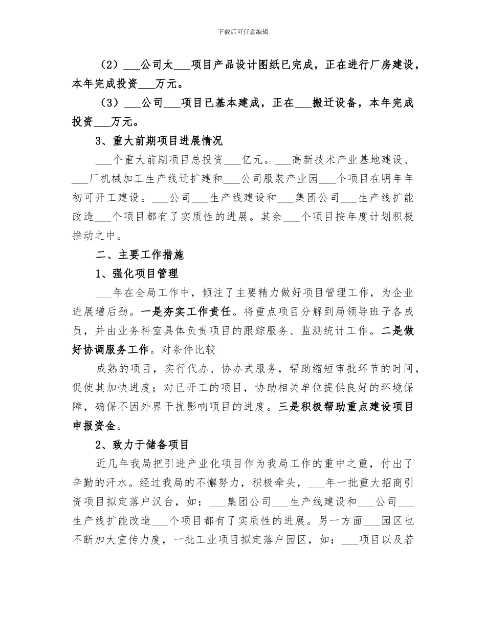 2024年重点项目工作总结_第2页
