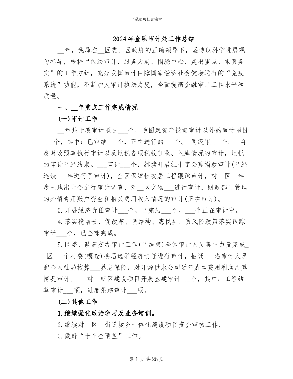 2024年金融审计处工作总结_第1页