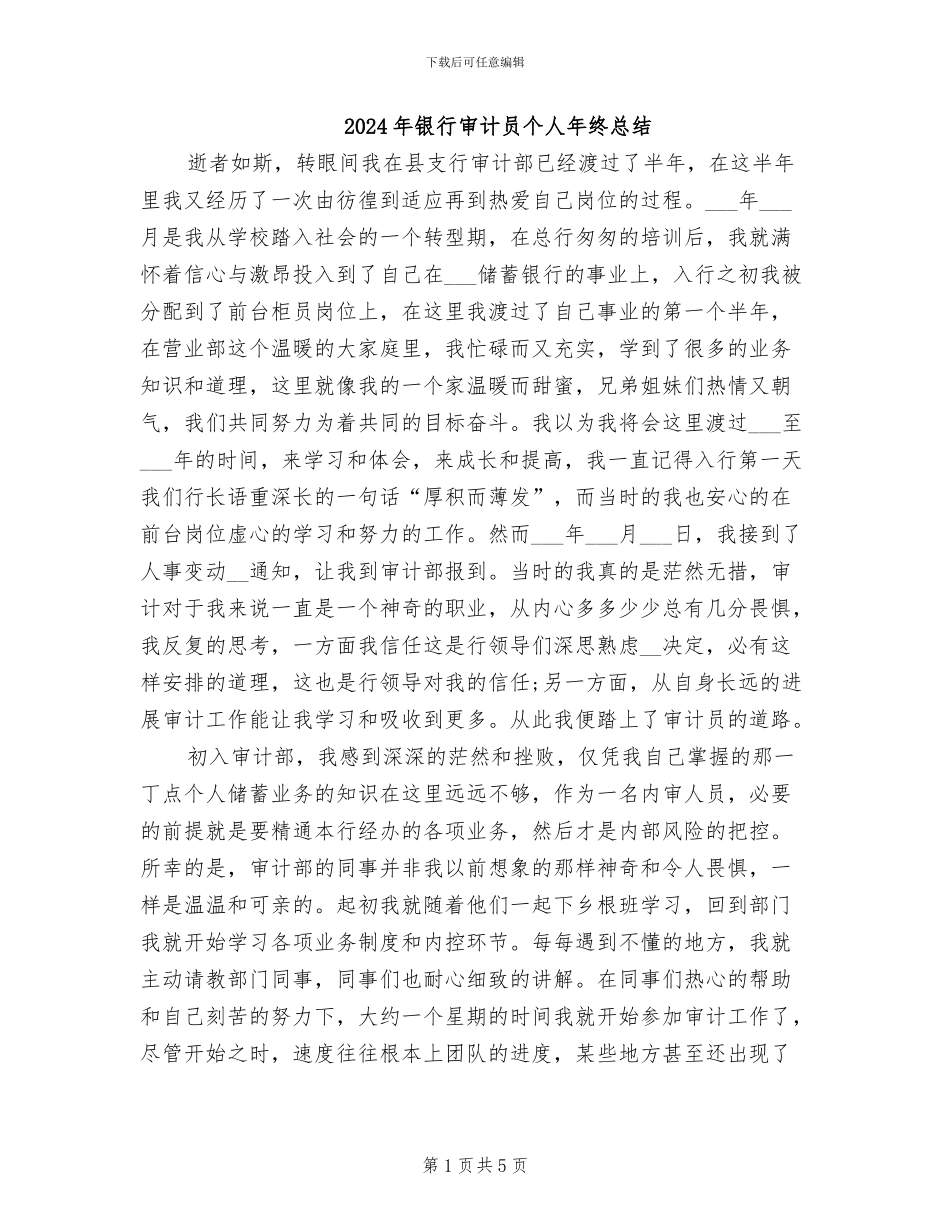 2024年银行审计员个人年终总结_第1页