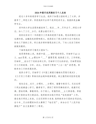2024年银行试用期实习个人总结