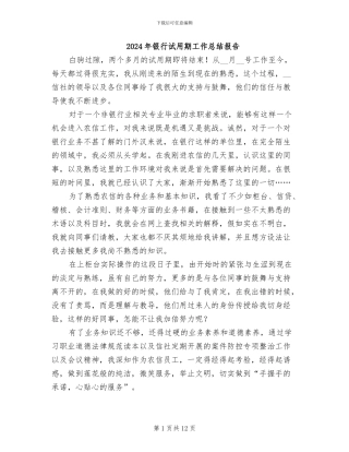 2024年银行试用期工作总结报告