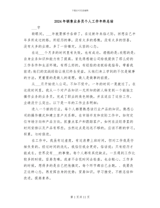 2024年销售业务员个人工作年终总结
