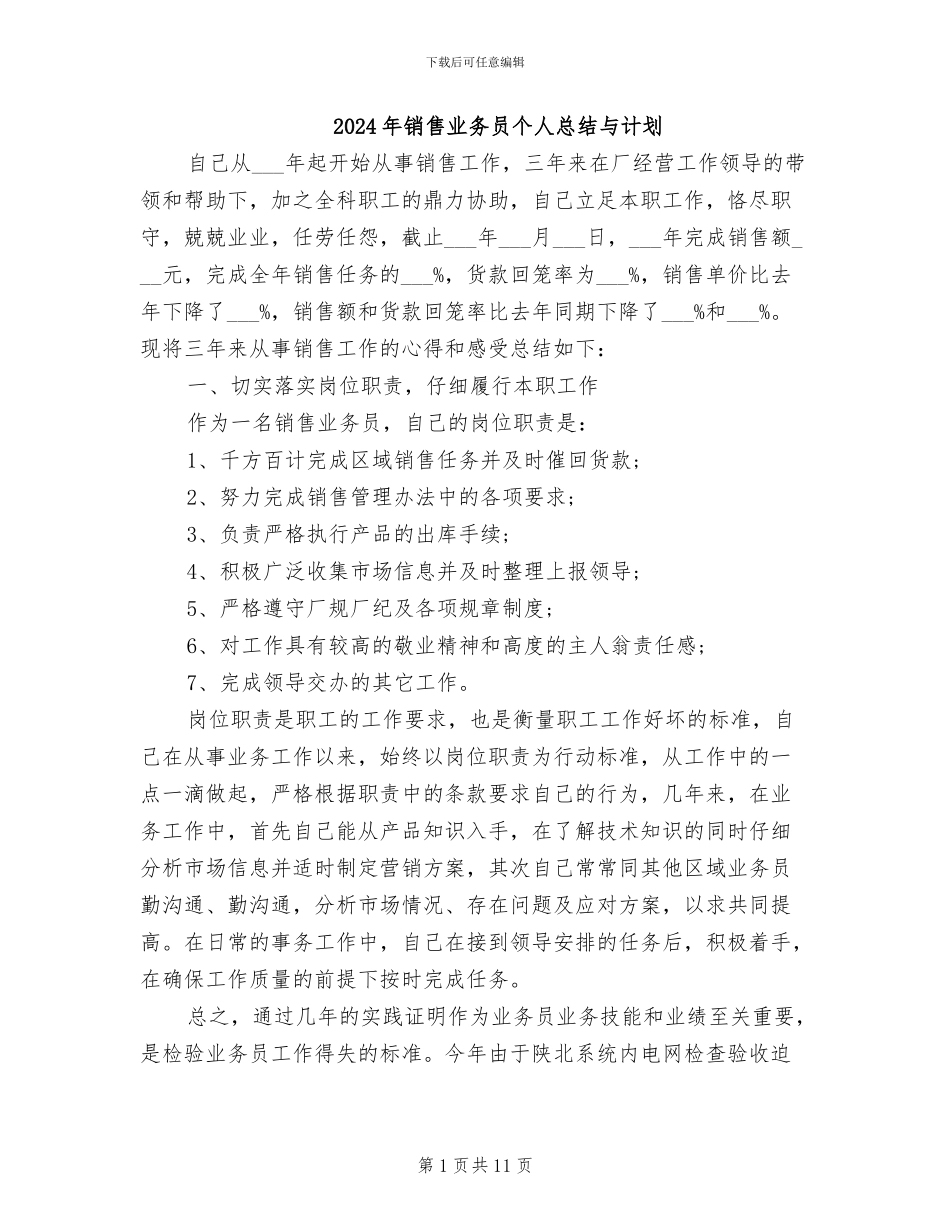 2024年销售业务员个人总结与计划_第1页