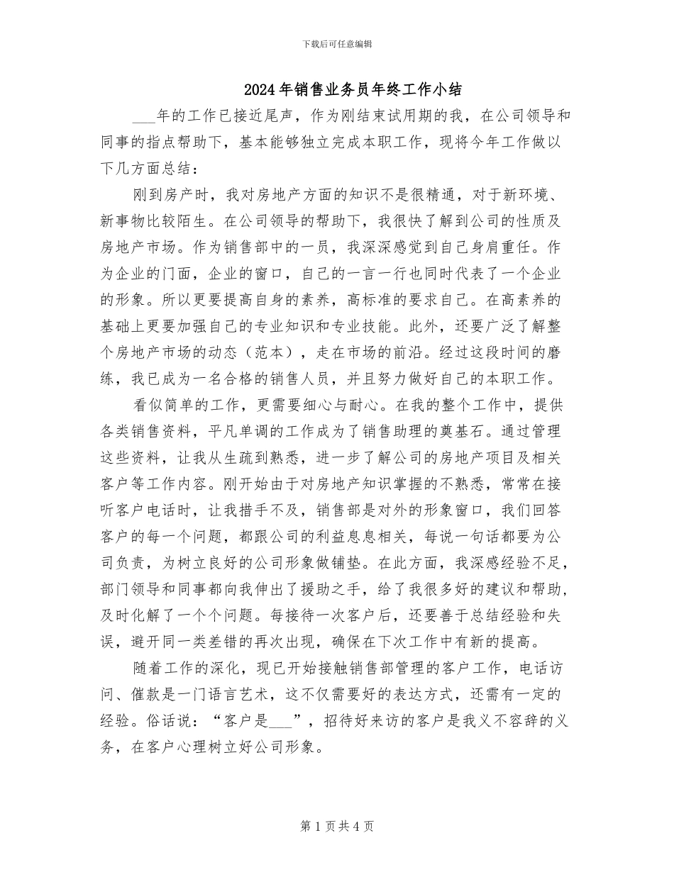 2024年销售业务员年终工作小结_第1页