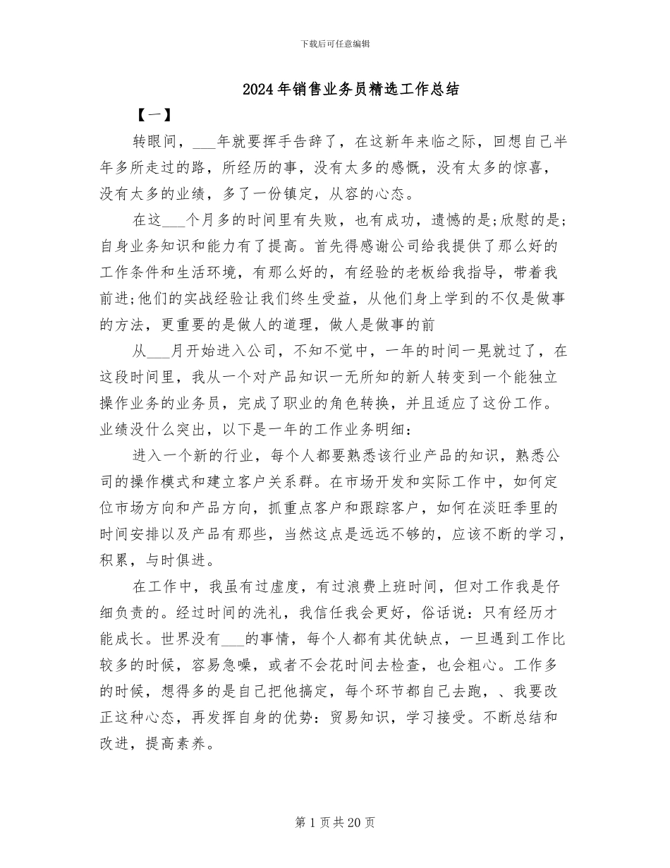 2024年销售业务员精选工作总结_第1页