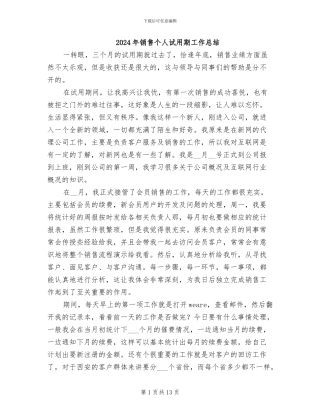 2024年销售个人试用期工作总结