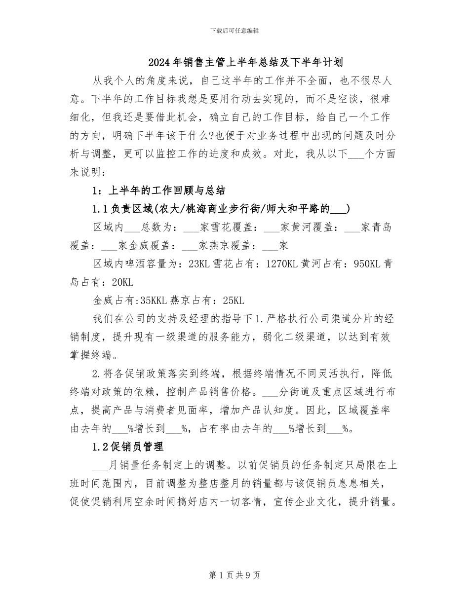 2024年销售主管上半年总结及下半年计划_第1页