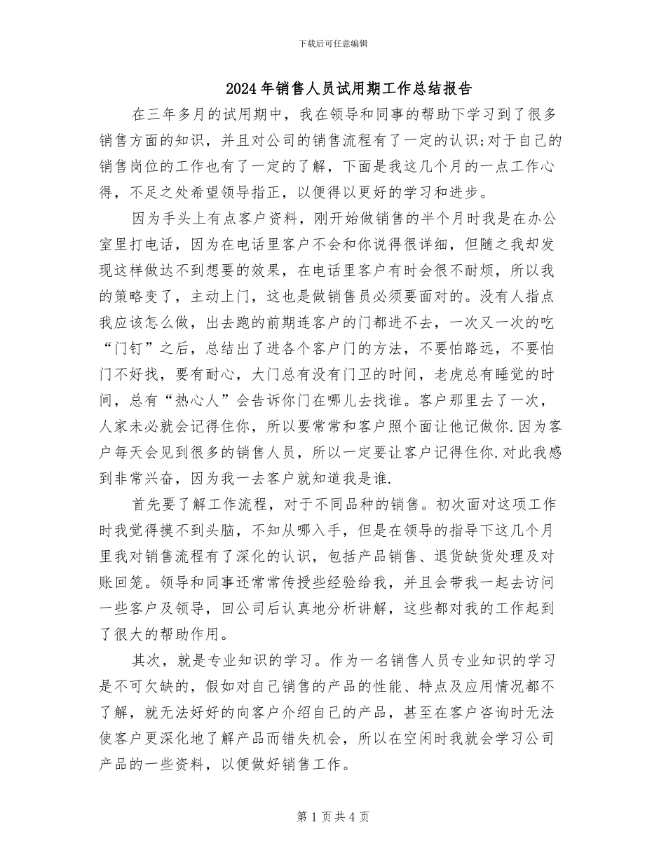 2024年销售人员试用期工作总结报告_第1页