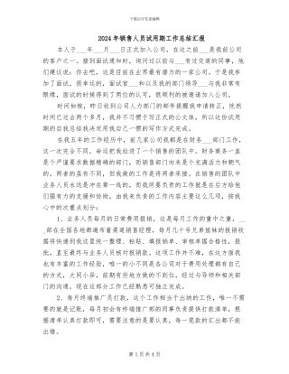 2024年销售人员试用期工作总结汇报