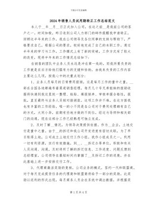2024年销售人员试用期转正工作总结范文