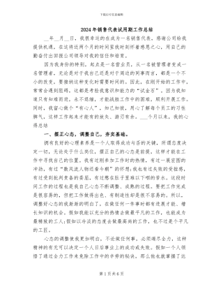 2024年销售代表试用期工作总结