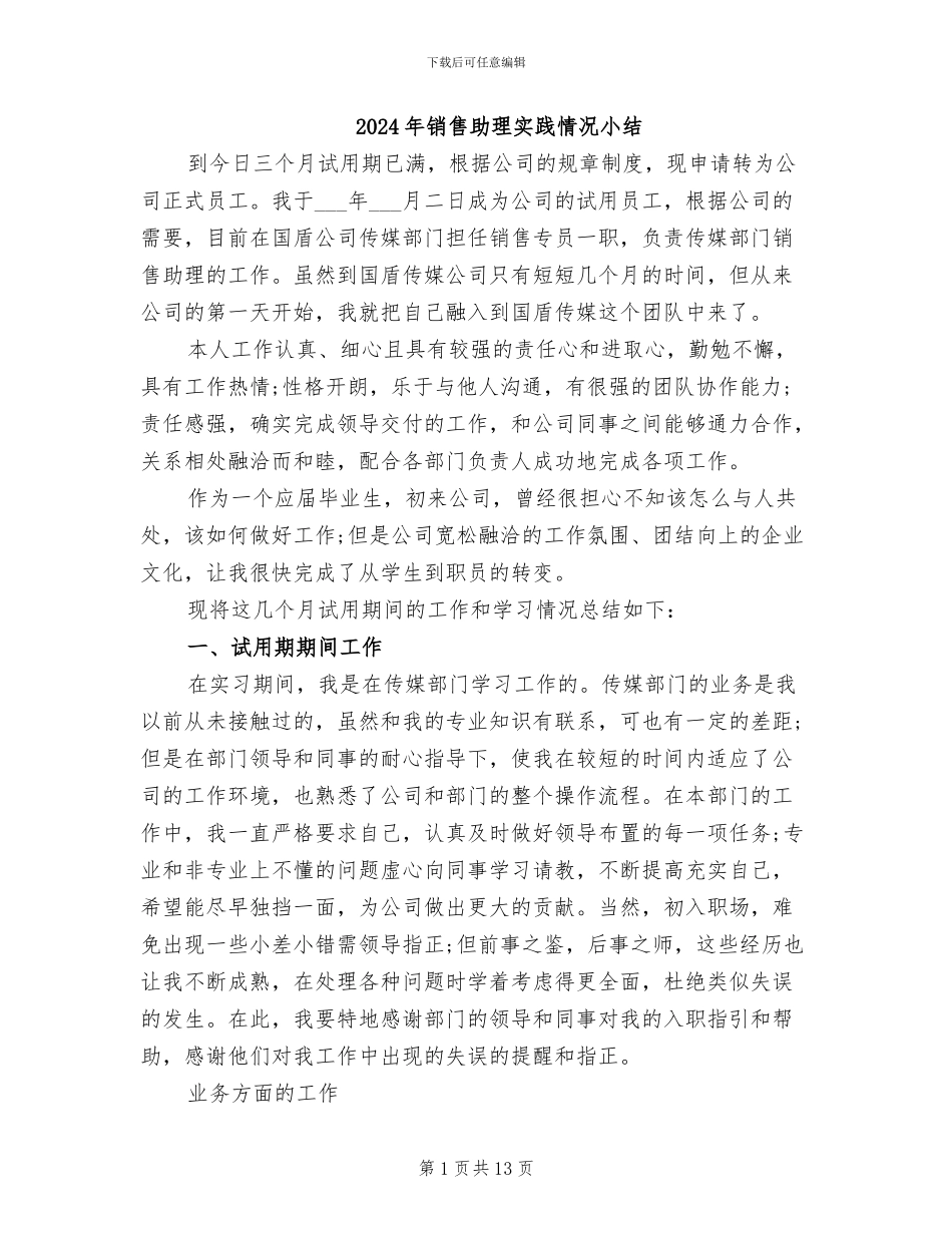 2024年销售助理实践情况小结_第1页