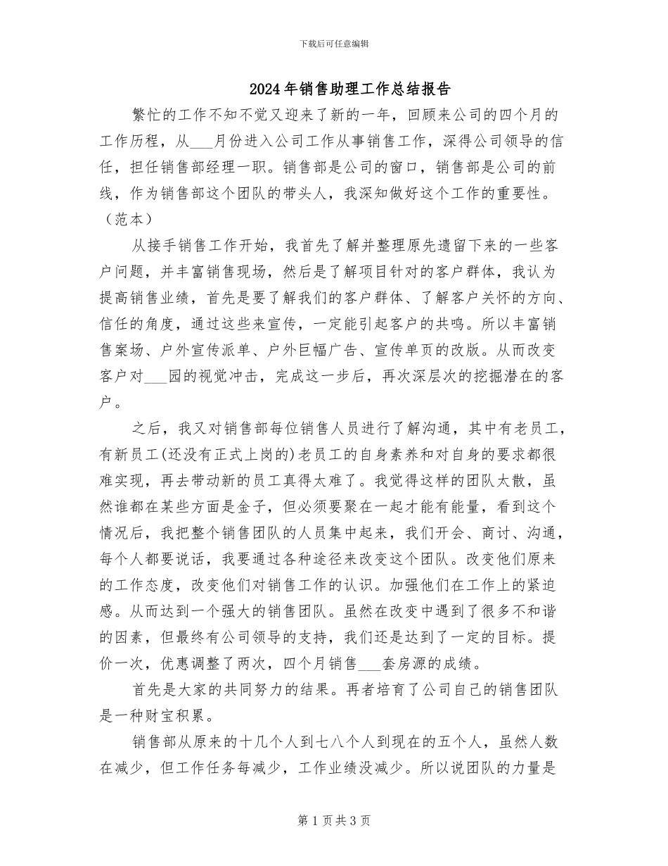 2024年销售助理工作总结报告_第1页