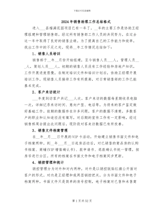 2024年销售助理工作总结格式