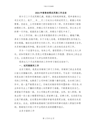 2024年销售助理试用期工作总结