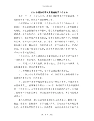 2024年销售助理试用期满转正工作总结