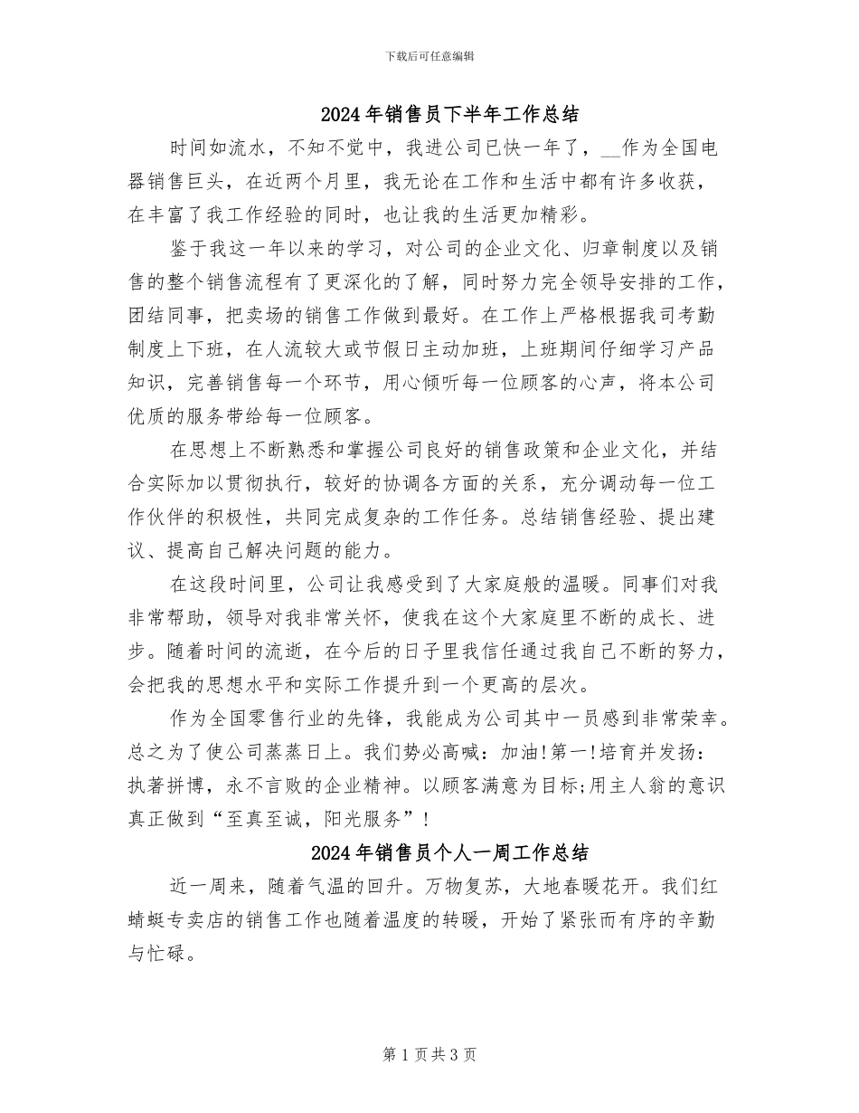 2024年销售员下半年工作总结_第1页
