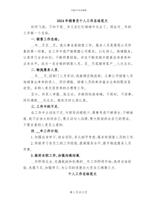 2024年销售员个人工作总结范文