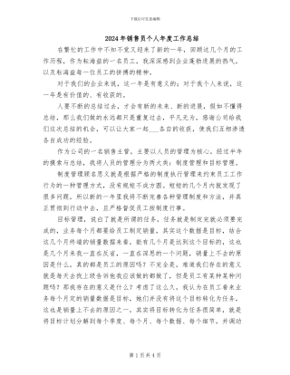 2024年销售员个人年度工作总结