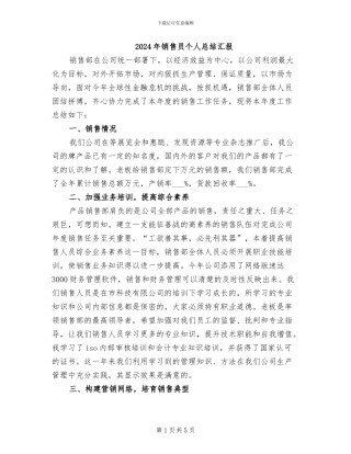 2024年销售员个人总结汇报