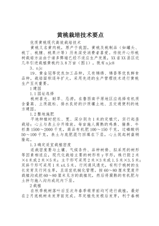 黄桃栽培技术要点