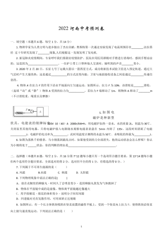 2022年河南中考模拟卷(物理)