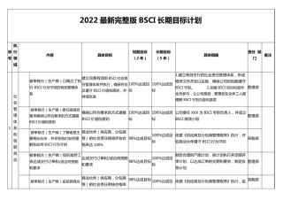2022最新BSCI长期目标计划