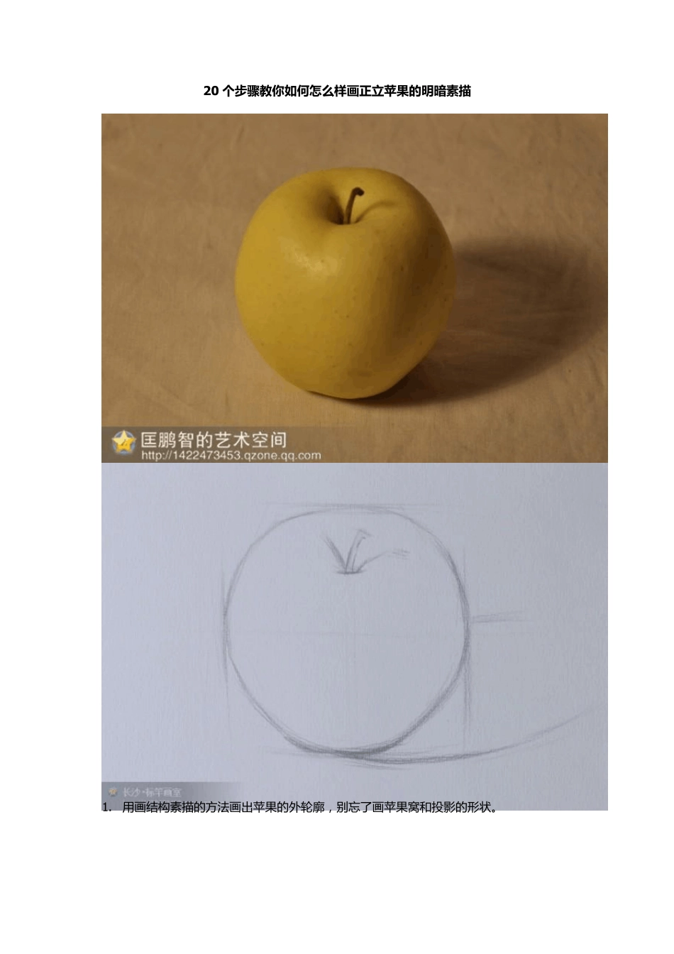 20个步骤教你如何怎么样画正立侧立苹果的明暗素描(超经典)_第1页