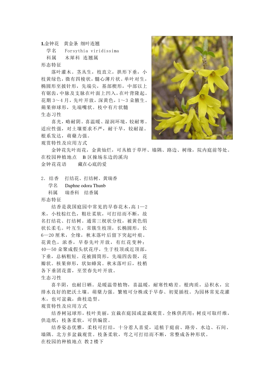 20种早春开花植物_第2页