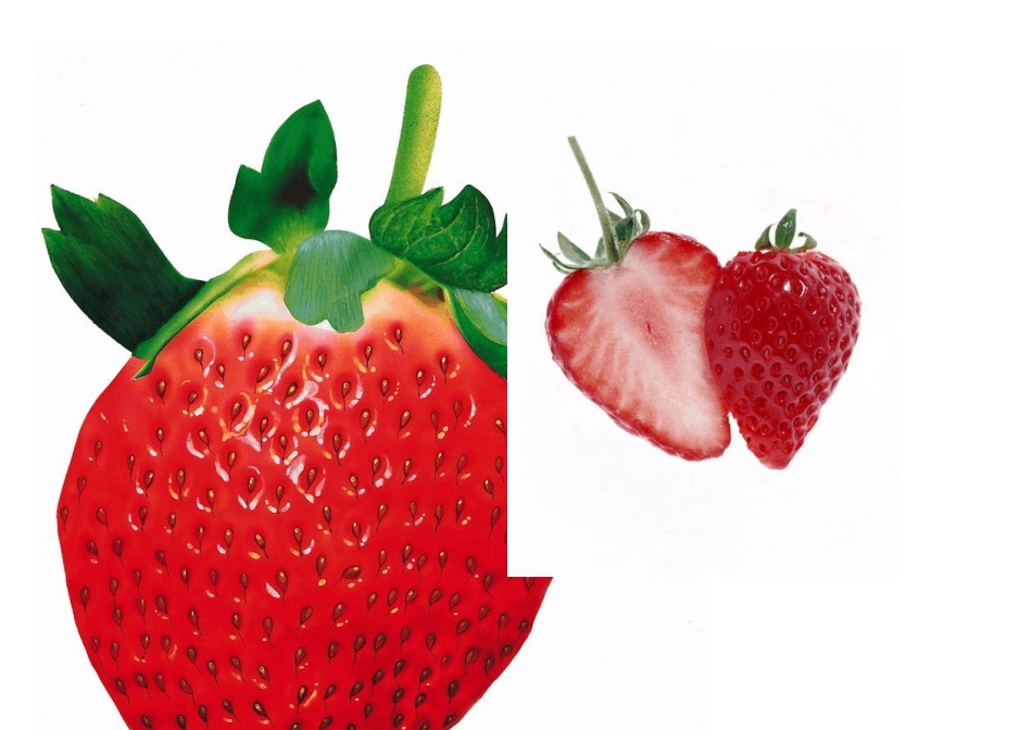 20种蔬菜水果外形及内部清晰图_第2页