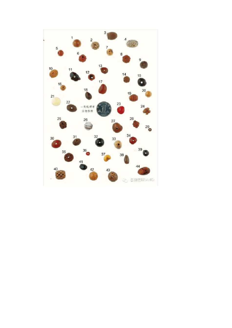 214种菩提子的品种介绍与细节欣赏_第2页