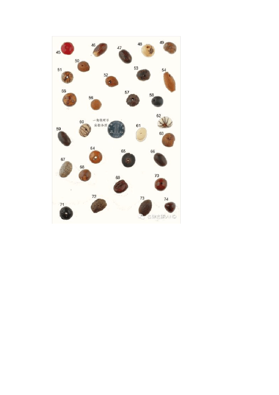 214种菩提子的品种介绍与细节欣赏_第3页