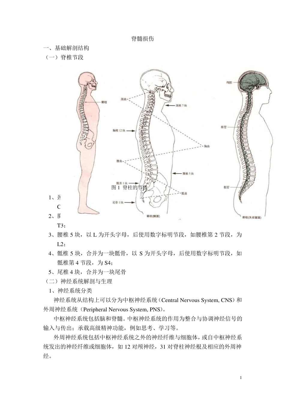 21脊髓损伤概述_第1页