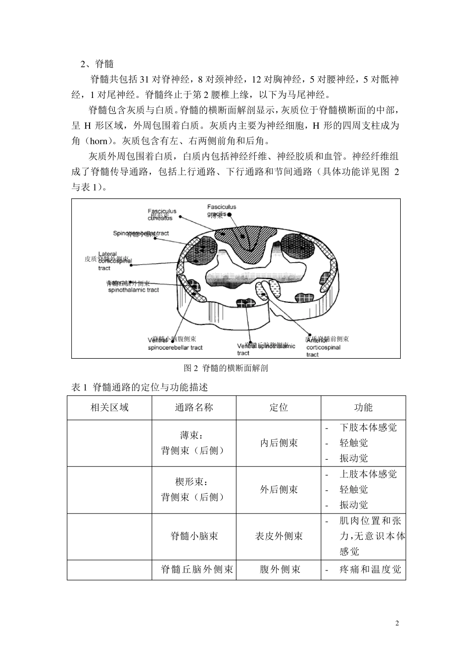 21脊髓损伤概述_第2页
