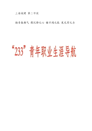 233青年职业生涯导航