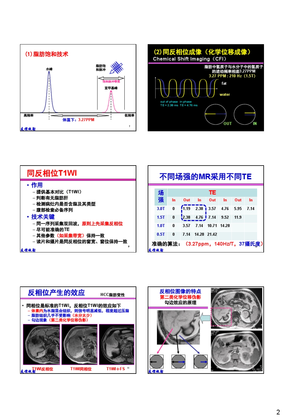 24.基本病变的MRI信号分析：含脂异常与脂肪定量_杨正汉_第2页