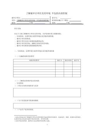 24长春平安纸业公司风险评估工作底稿