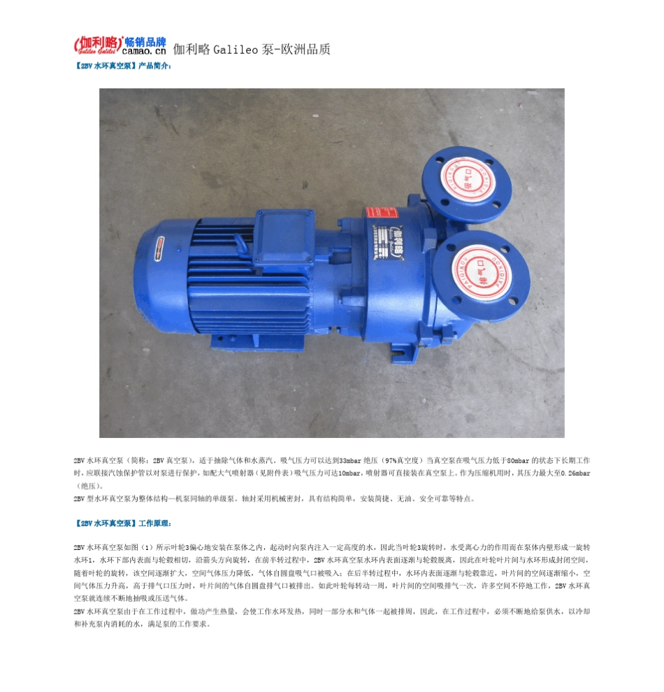 2BV水环真空泵_第2页