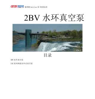 2BV水环真空泵